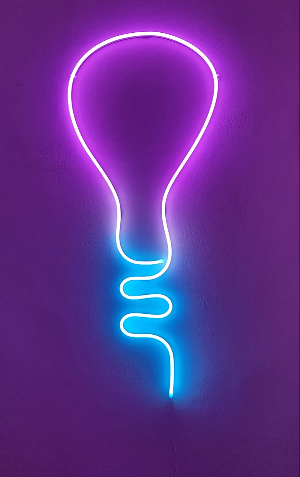 Dynamic Color-changing RGBIC Neon Strip Lights