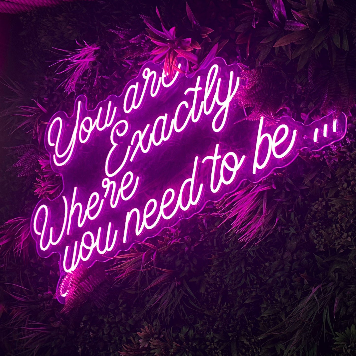You are Exactly Where You Need to Be - Neon Sign
