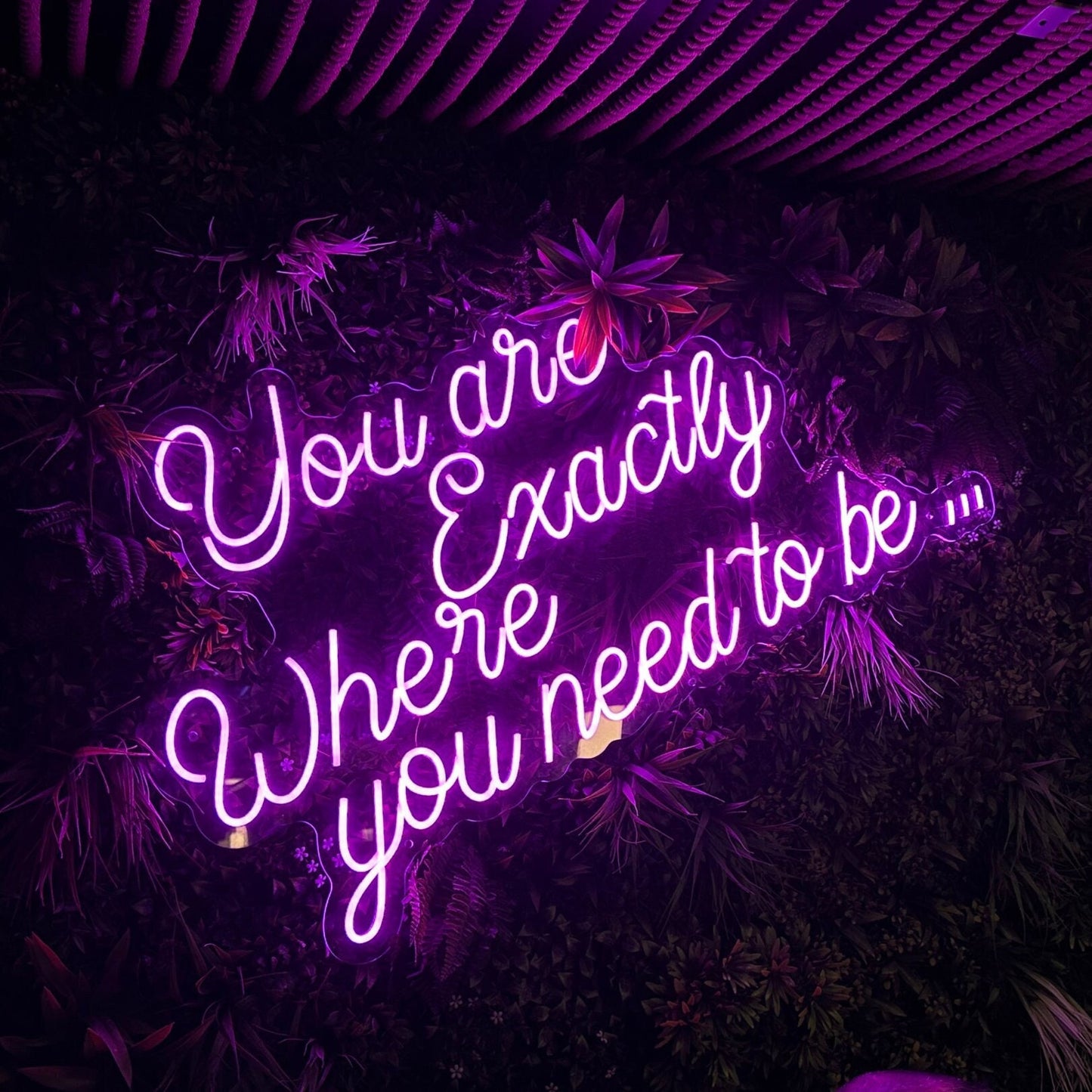 You are Exactly Where You Need to Be - Neon Sign